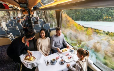 Planning a trip around New Zealand